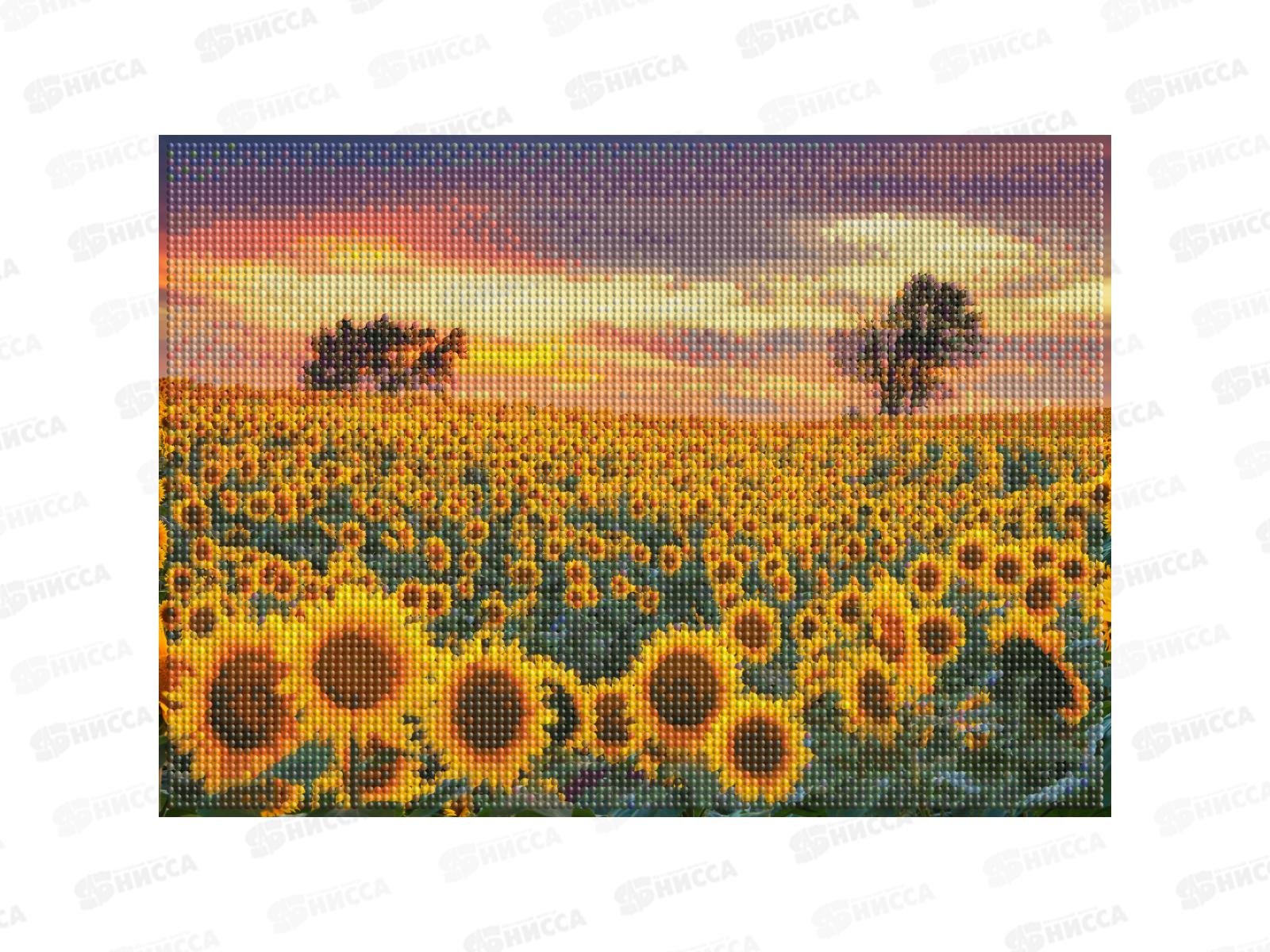 Алмазная мозаика (блест.) 30х40см Подсолнухи на закате НД-2695 без подр.