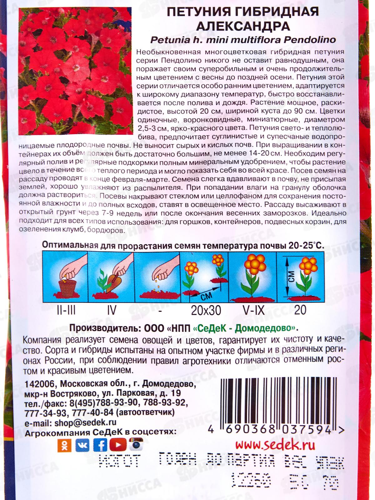 Петуния Александра F1 (ярко красная) (Евро, 5) СеДек *10 +