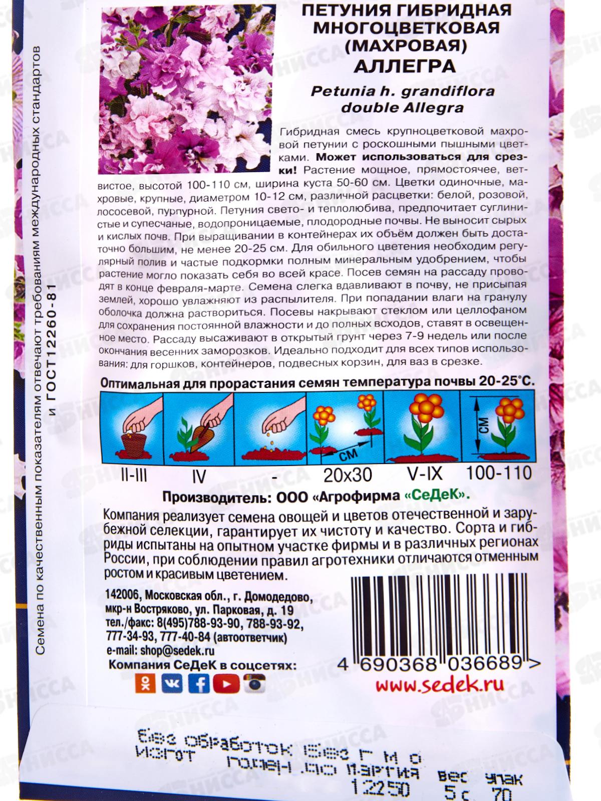 Петуния Аллегро F1 (крупноцветковая, махровая) (Евро, 5) СеДек *10 +