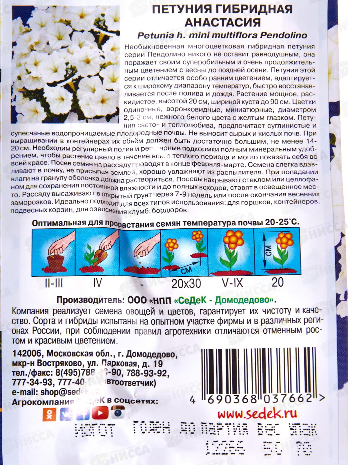 Петуния Анастасия F1 (Евро, 5) СеДек *10 +