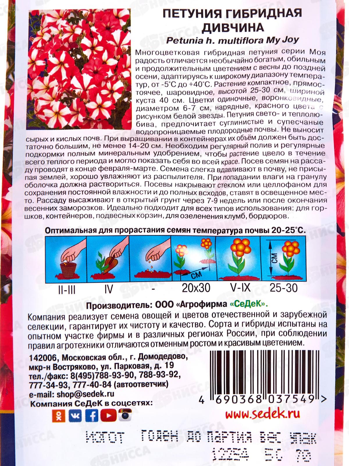 Петуния Дивчина F1 (многоцветковая, красная, с рисунком белой звезды) (Евро,5) СеДек *10 +