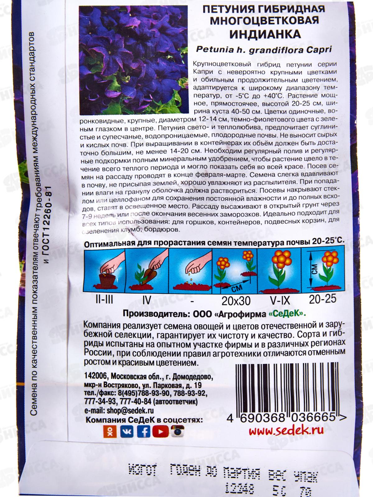 Петуния Индианка F1 (крупноцветковая) (Евро,5) СеДек *10 +