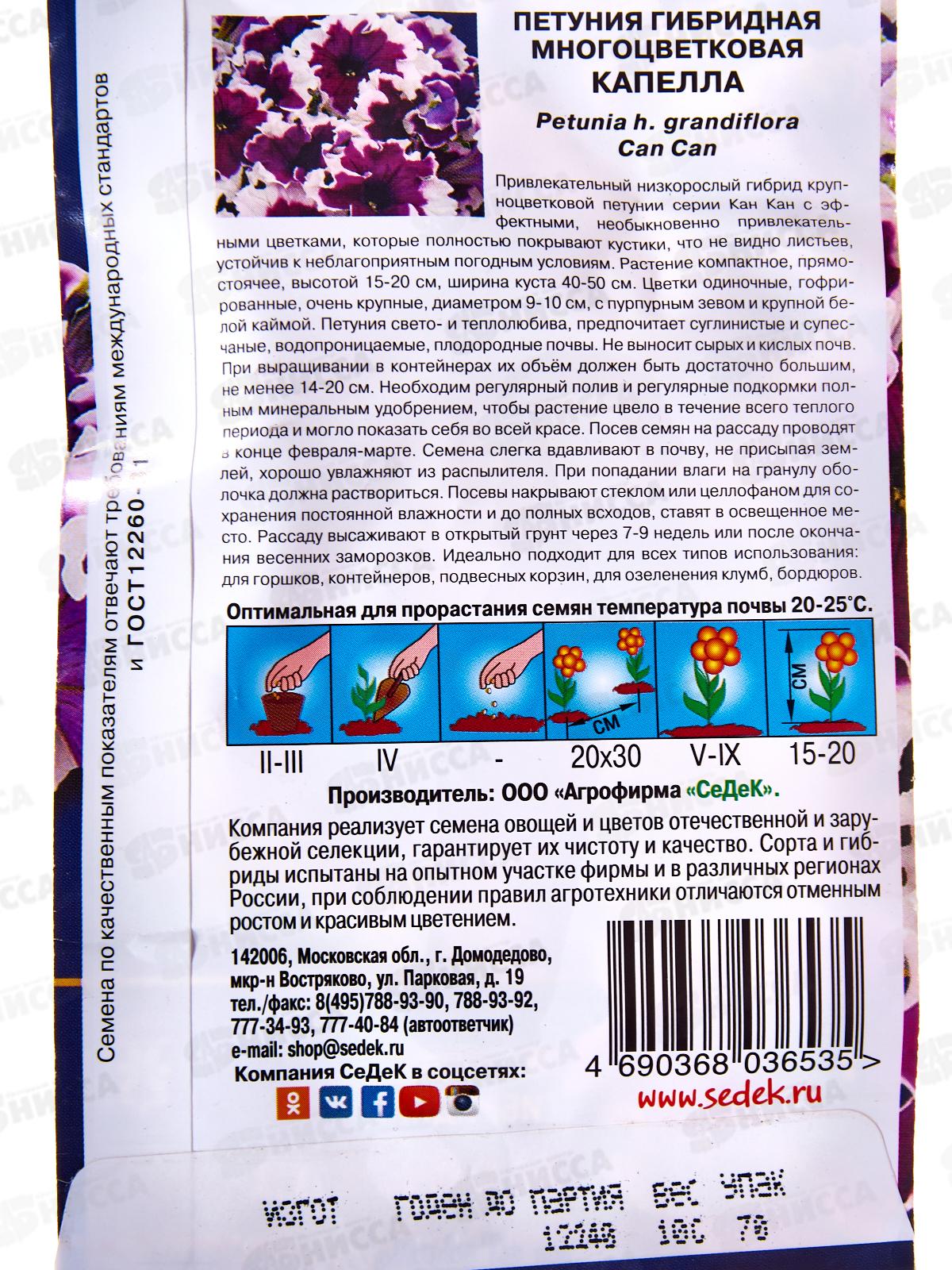 Петуния Капелла F1 (крупноцветковая) (Евро,10) СеДек *10 +