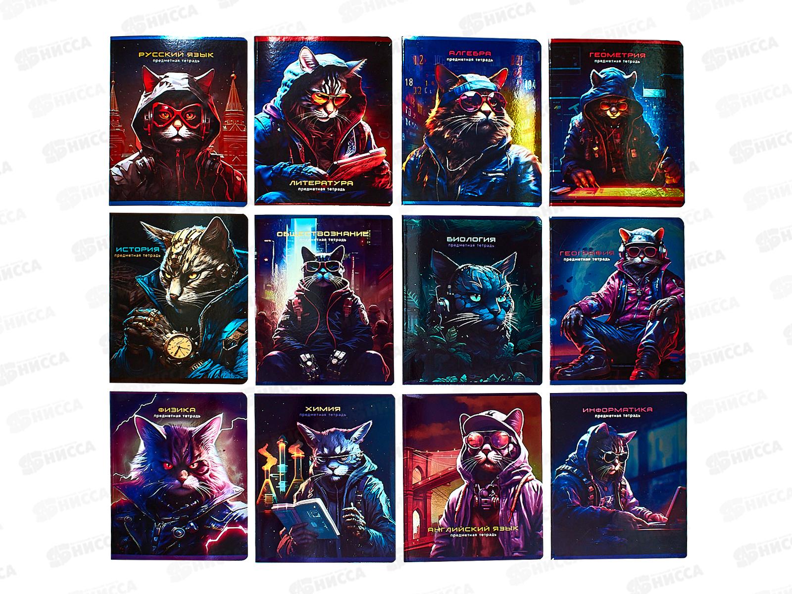 Набор 48листов тетрадей BG 12предм., Мир будущего, 56352 *6