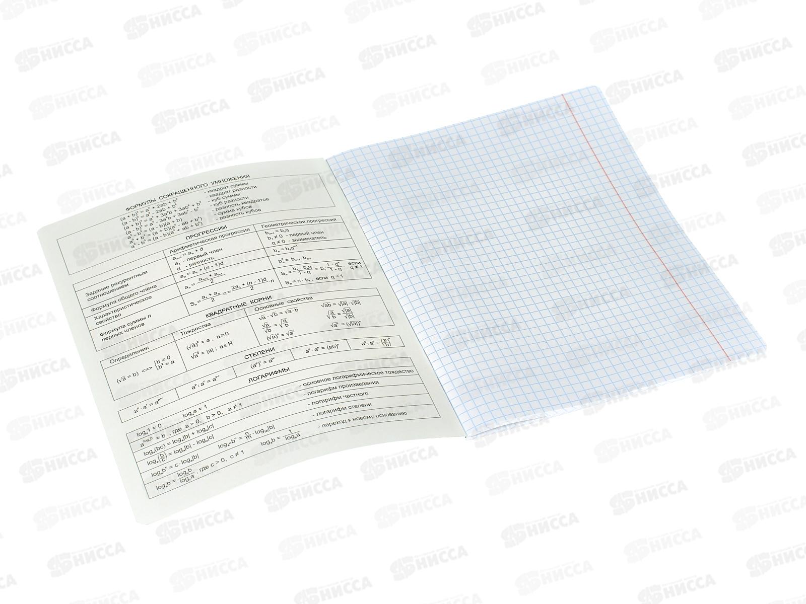 Тетрадь 40листов клетка  BG &quotЗаписки школьника-алгебра&quot, 12813*10/60