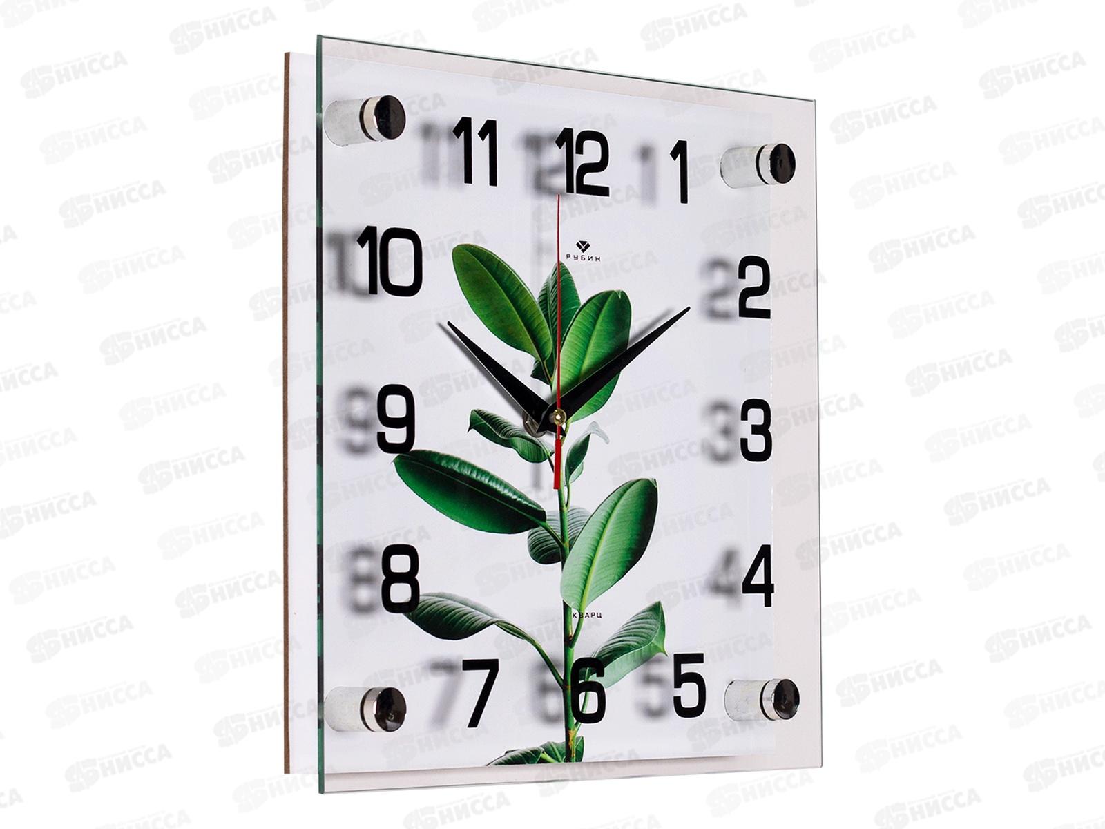 Часы настенные &quot21 Век&quot 2525-057 Фикус Эластика Рубин
