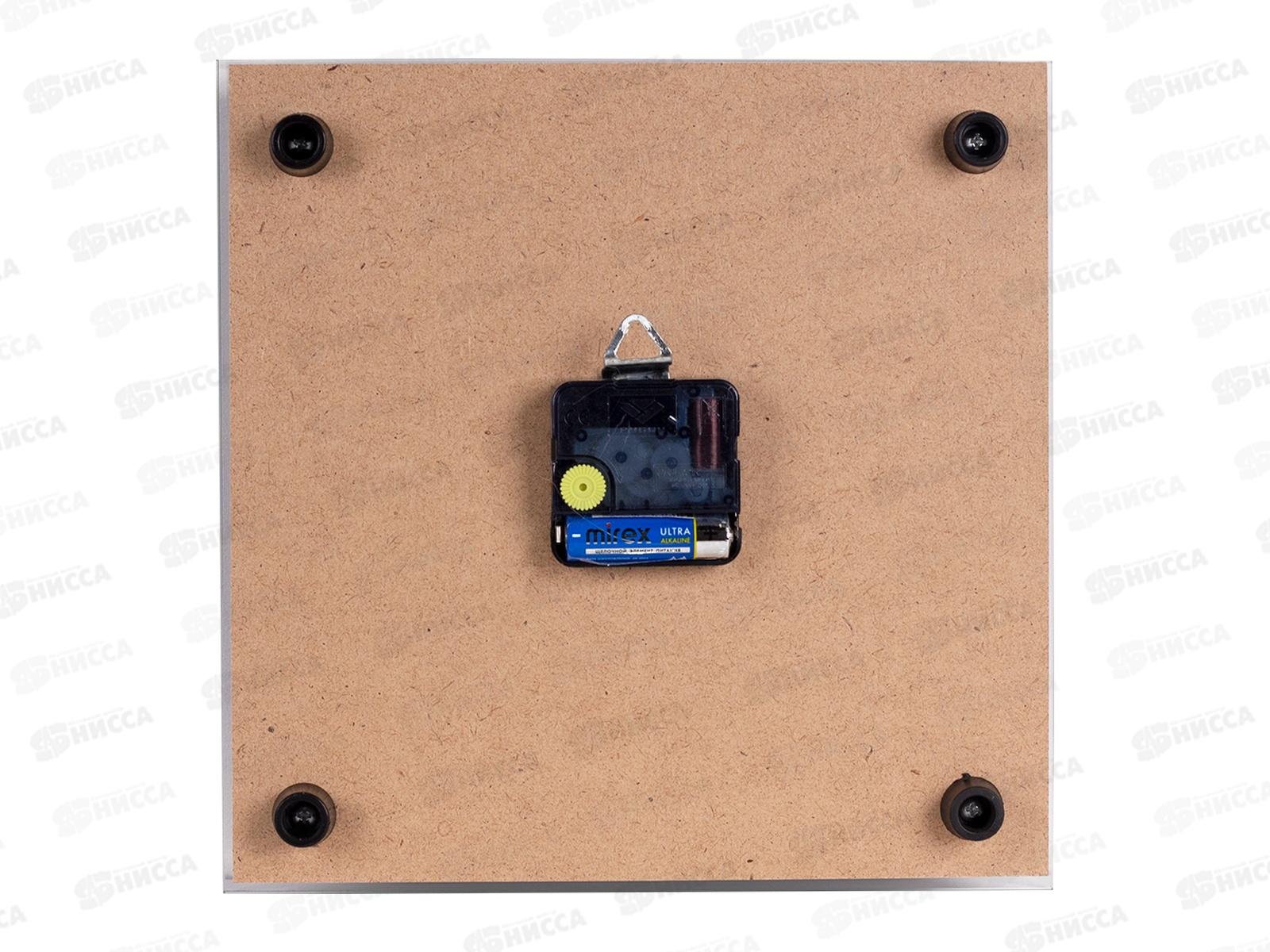 Часы настенные &quot21 Век&quot 2525-057 Фикус Эластика Рубин