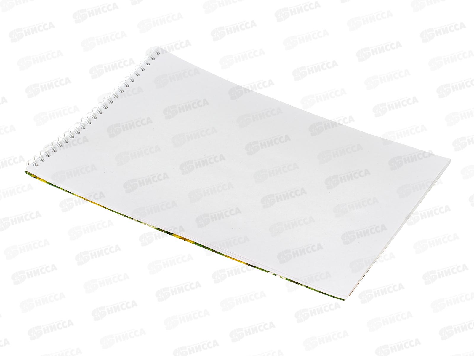 Альбом для рисования 20л Апплика,Любимое лакомство,греб.7017-08 *50