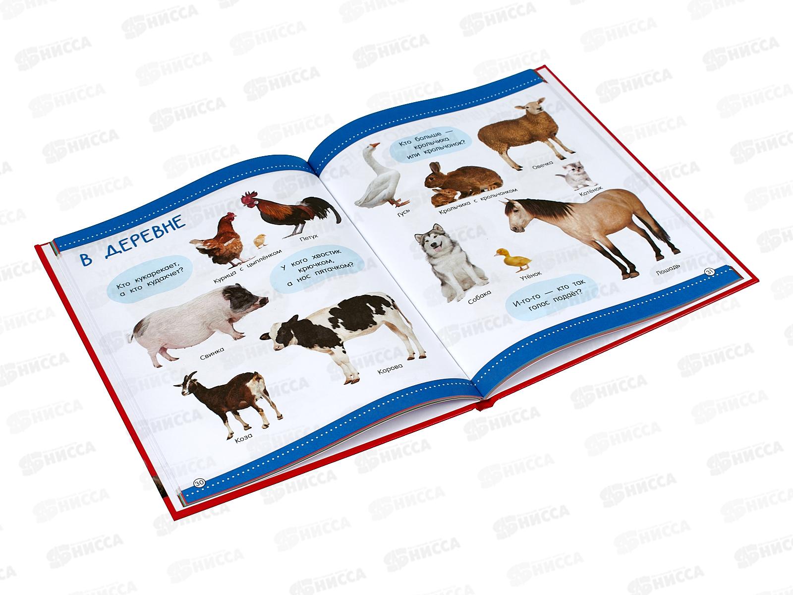 Книга АСТ 500 первых слов, Дмитриева В.Г. 1567-3  *18