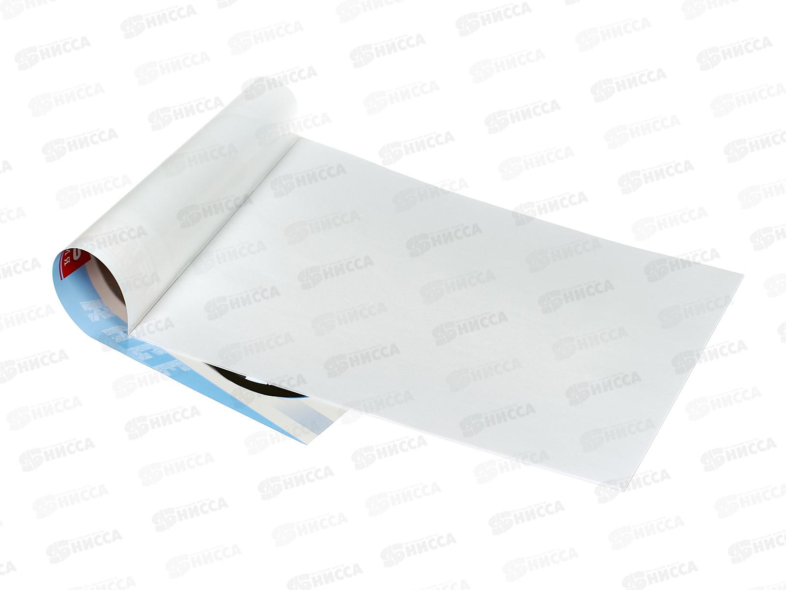 Альбом для рисования 12л ПГС Мото, офс. *40