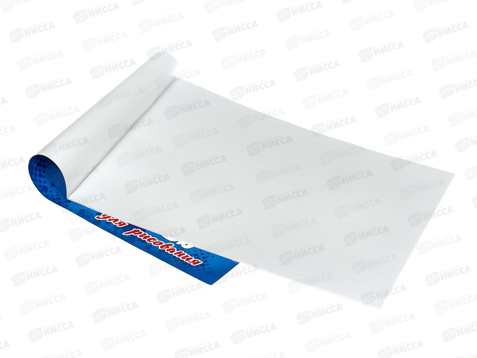 Альбом для рисования 12л ПГС Футбол, офс. *40