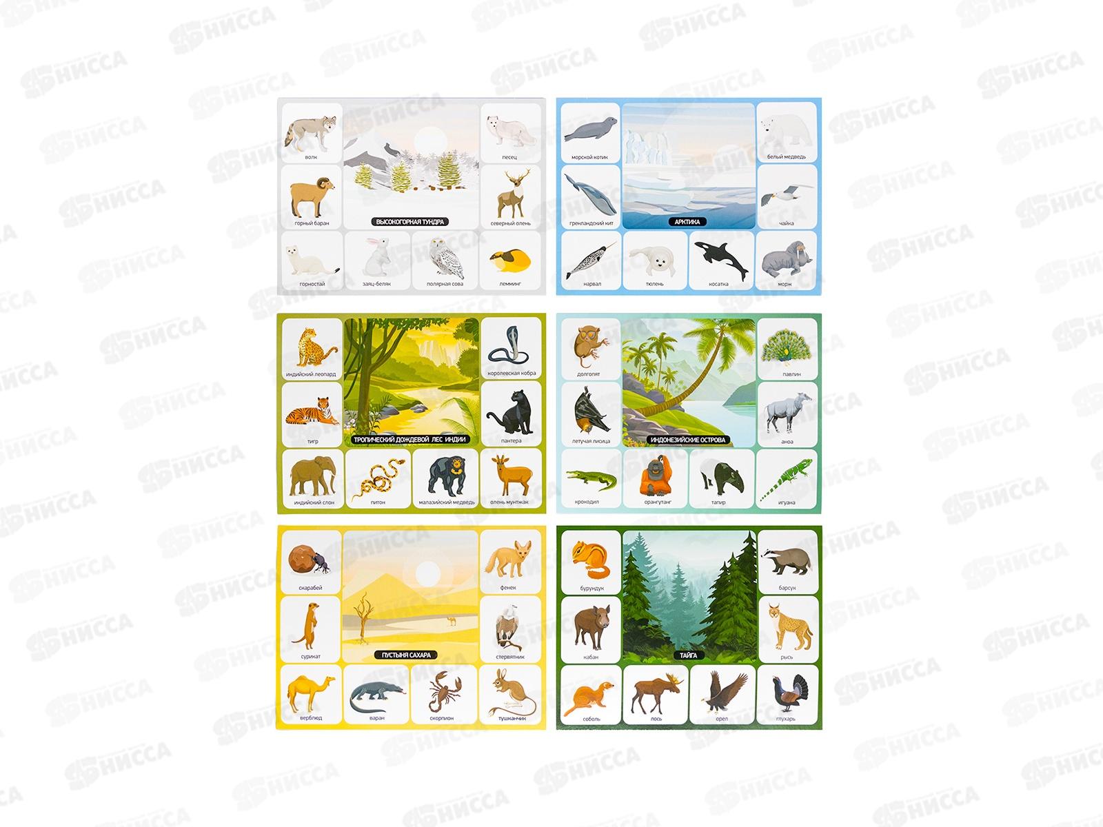 Лото &quotКто где живет?&quot (большое) 05523  *12