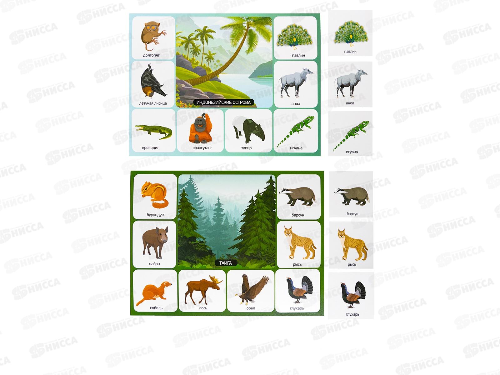 Лото &quotКто где живет?&quot (большое) 05523  *12