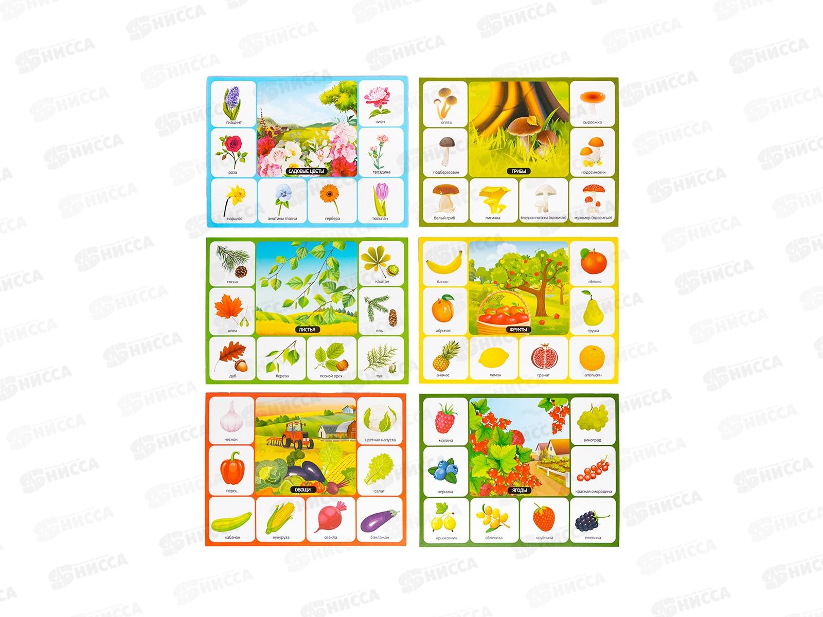 Лото &quotСобирайка&quot (большое) 05522  *12