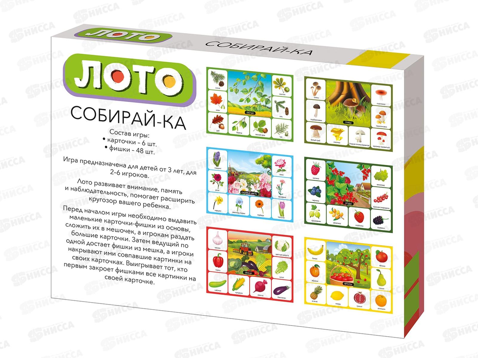 Лото &quotСобирайка&quot (большое) 05522  *12