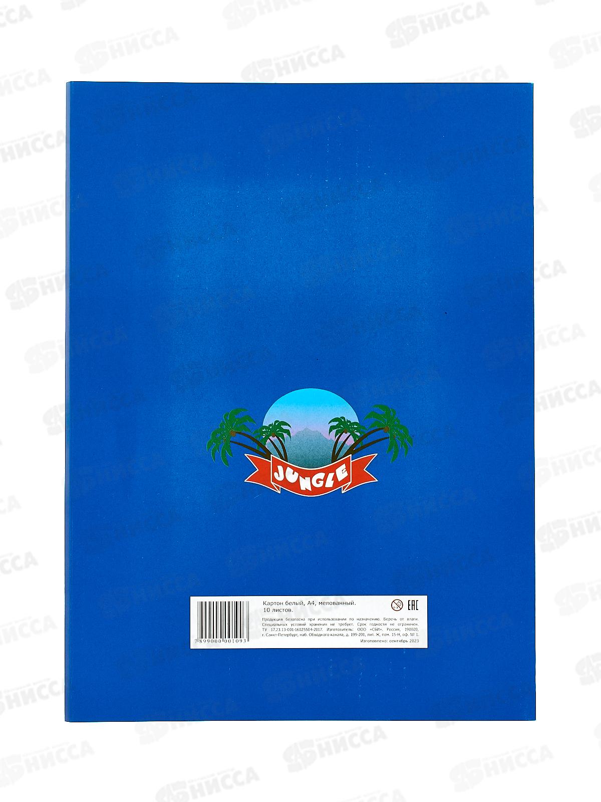 Картон Белый А4 Союзбланкиздат 10л мел. 128079 *25