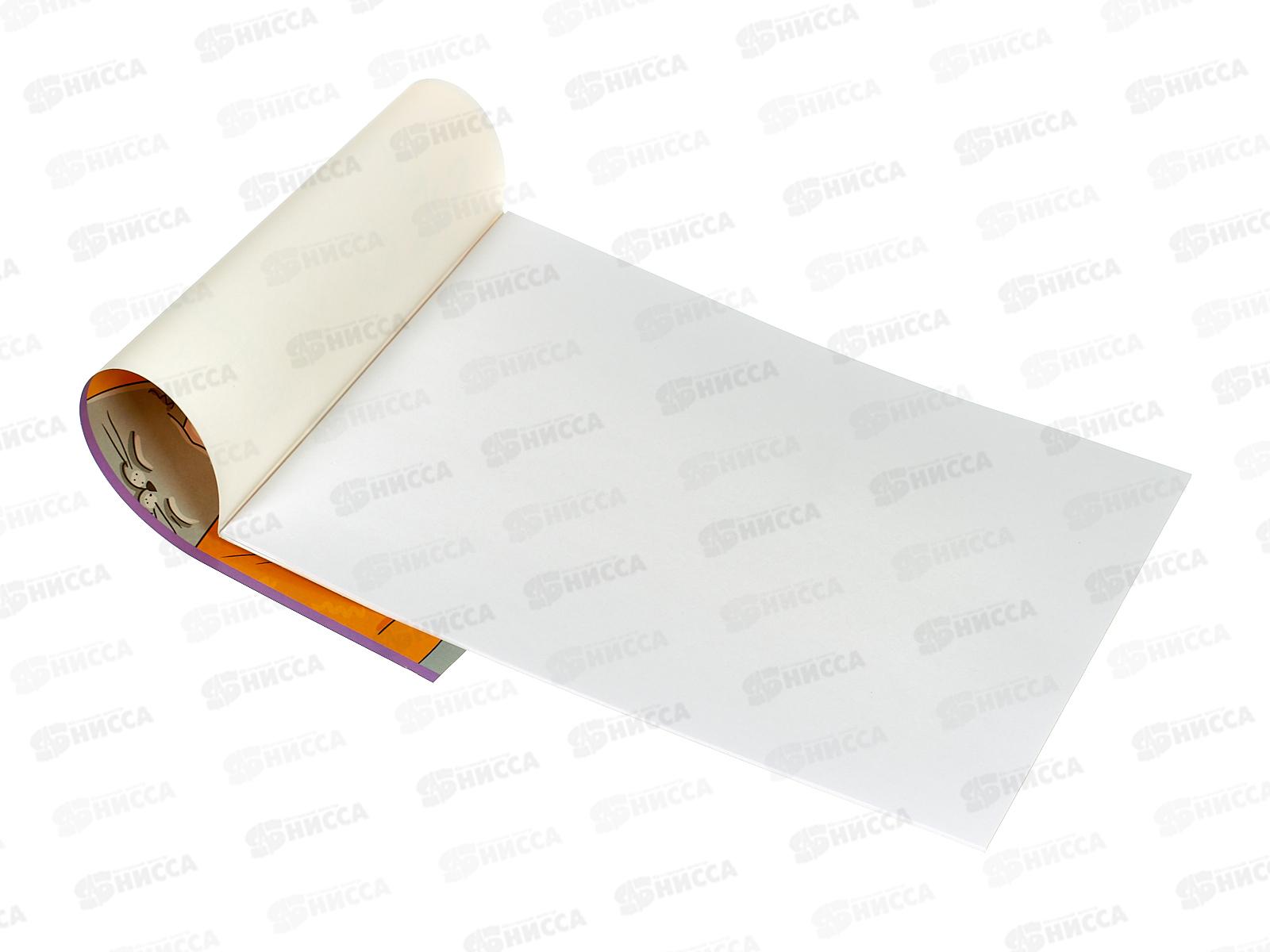 Альбом для рисования 12л  Alingar &quotFanny cat&quot скрепка мелов.картон AL10757 *60