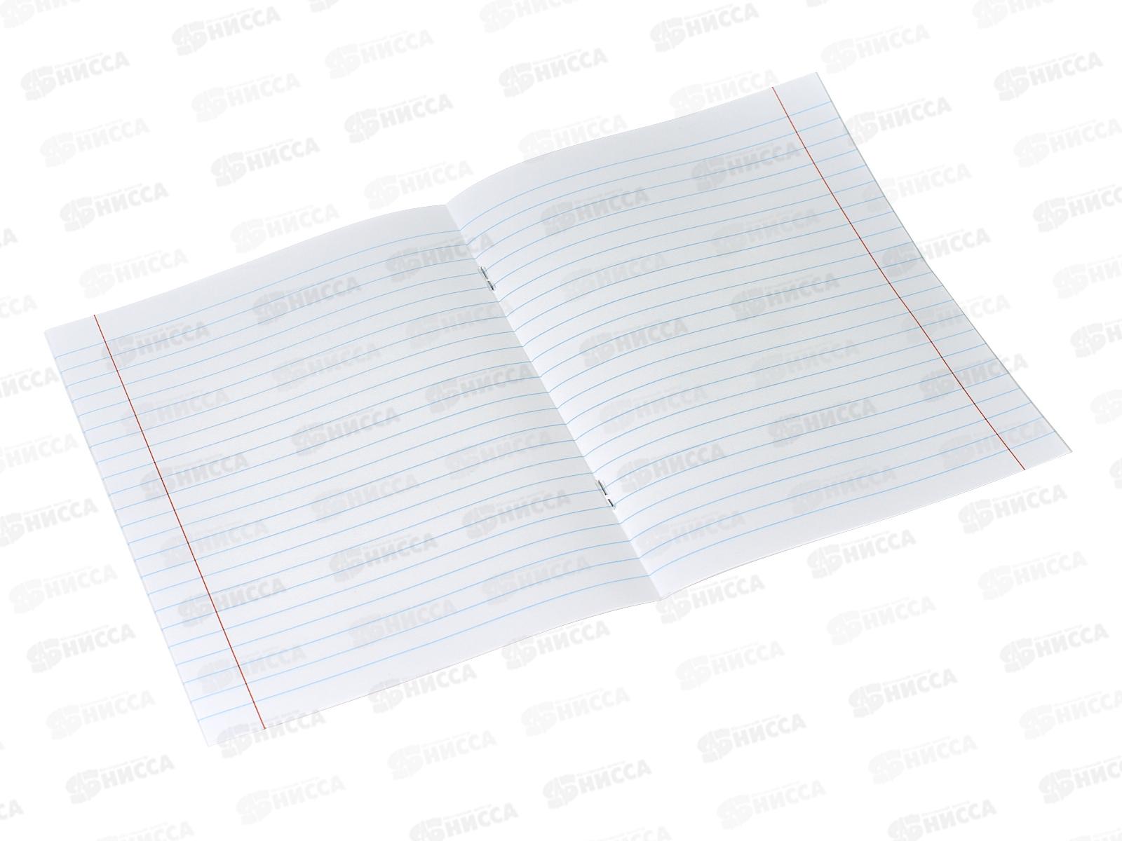 Тетрадь 12листов линия ПП Разнообразный микс, 5диз., Т12-3930 *25/250