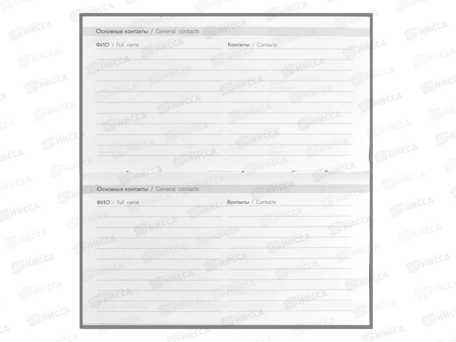 Еженедельник ФЕН недатированный,64листа, Биг-Босс, 68068  45