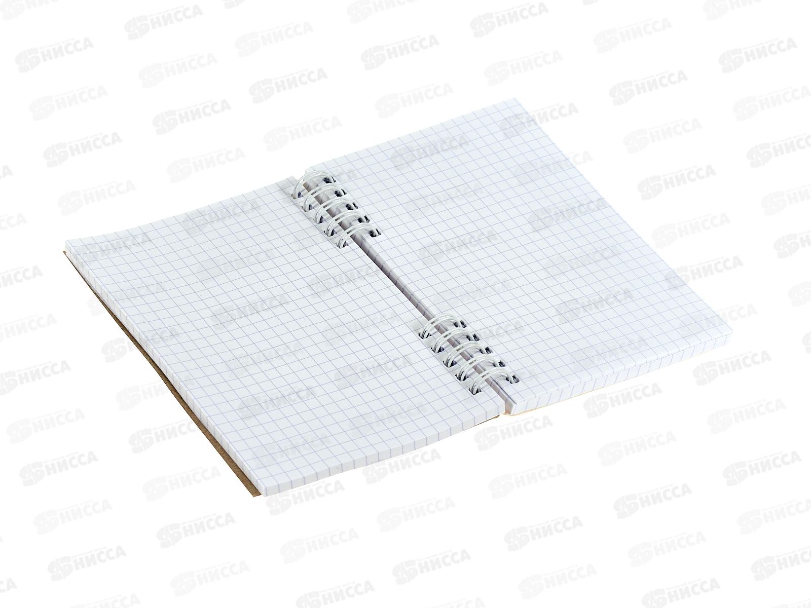 Блокнот120л ПГС NB Котики 2 А6 греб. *6/48