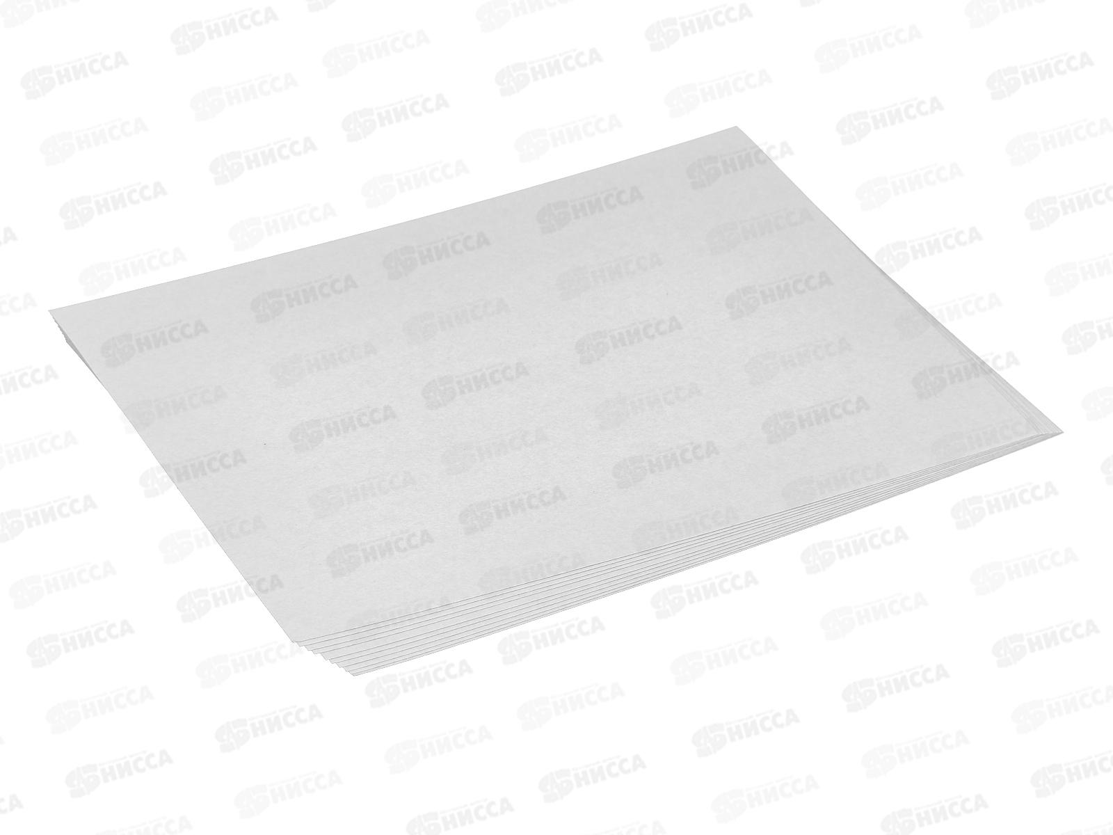 Картон Белый А4 СБ 10л Собака 2 БК10-03-01 *30