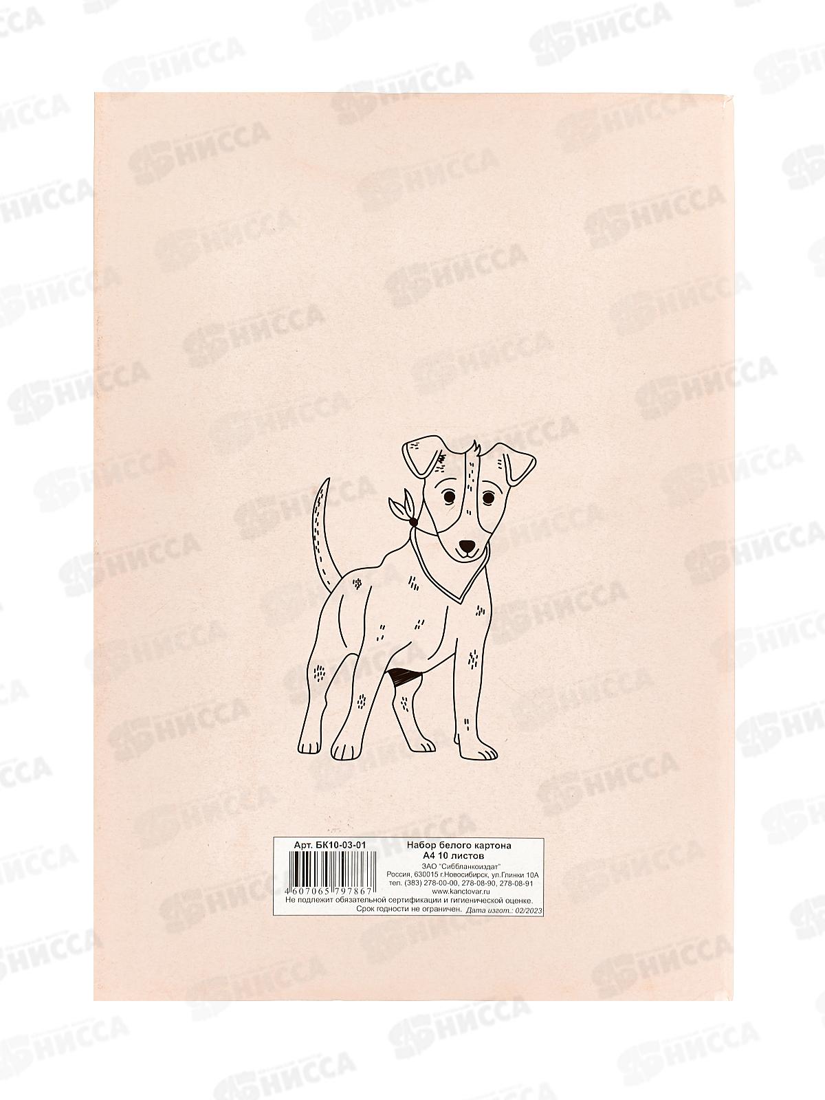 Картон Белый А4 СБ 10л Собака 2 БК10-03-01 *30