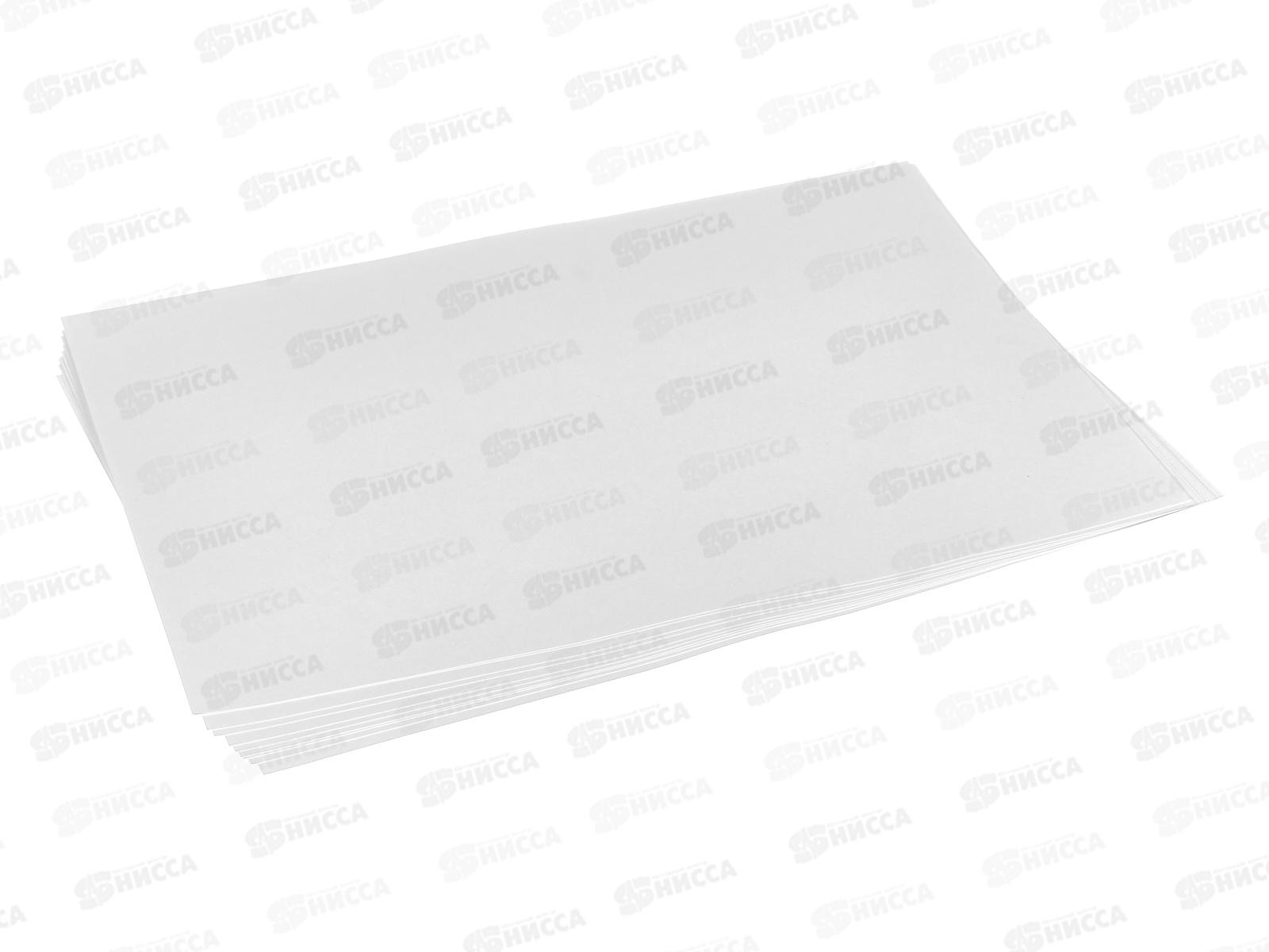 Папка для акварели А3 10л BG Рыжие друзья 60212*32