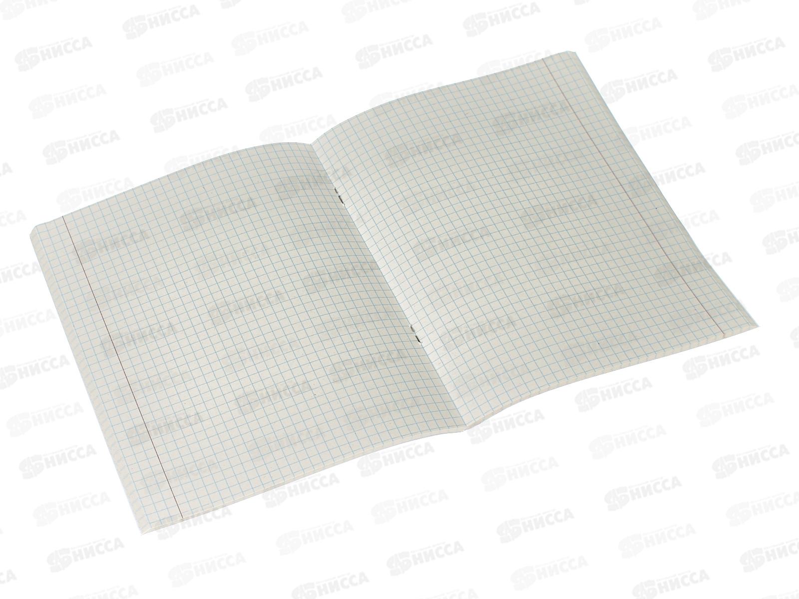 Тетрадь 48листов клетка  BG А5 б/в бордовый,12320*100