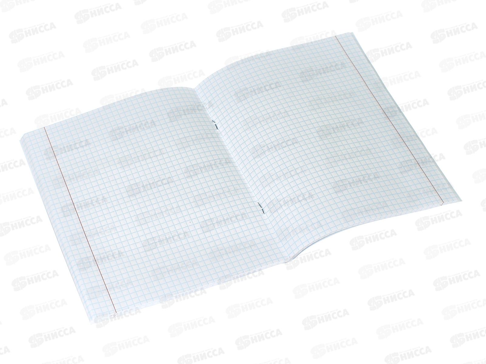 Тетрадь 48листов клетка  BG А5 б/в синий,12310*100