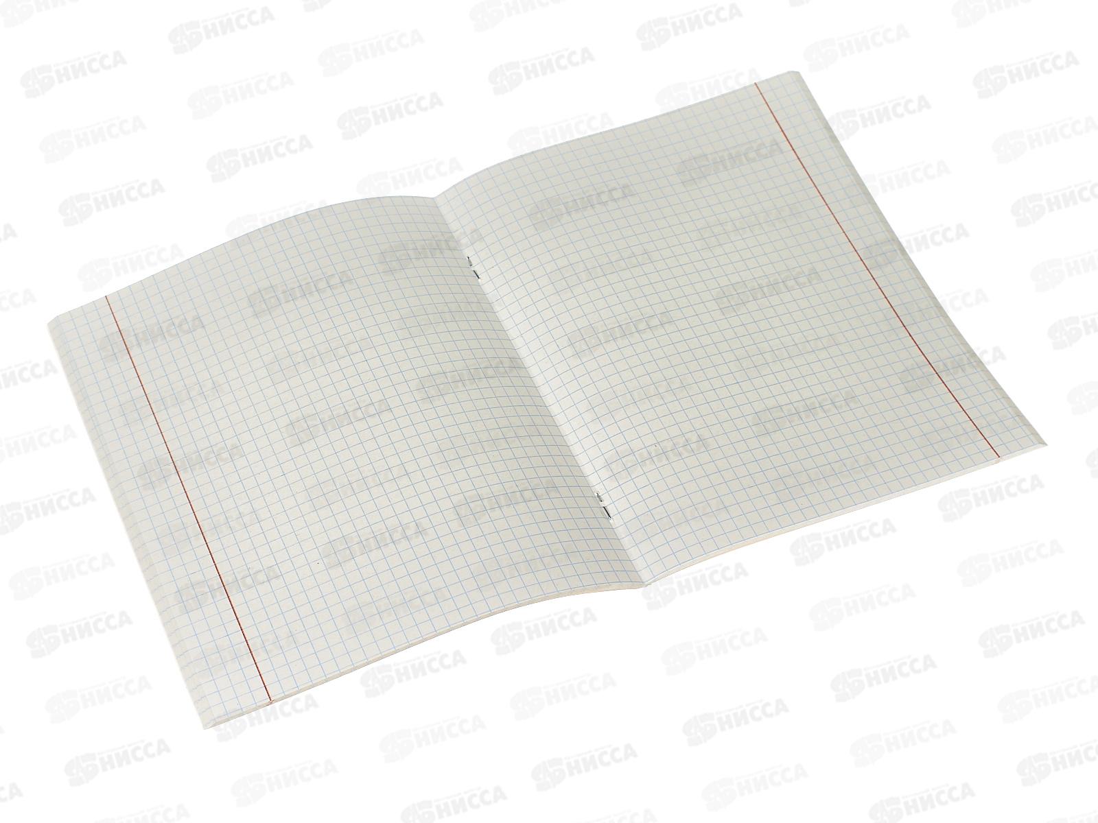 Тетрадь 48листов клетка  BG Свои крылья,61401*5/60