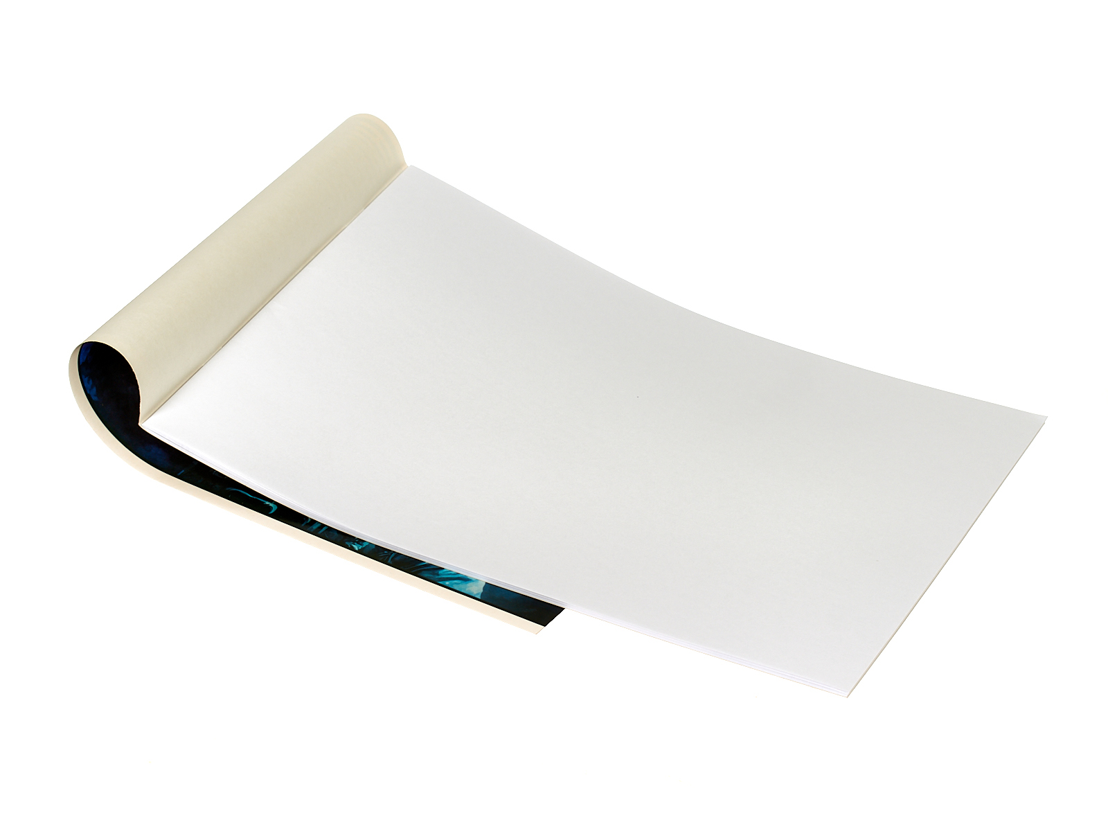 Альбом для рисования 20л АКАД АстроКот EAC-14420 *40