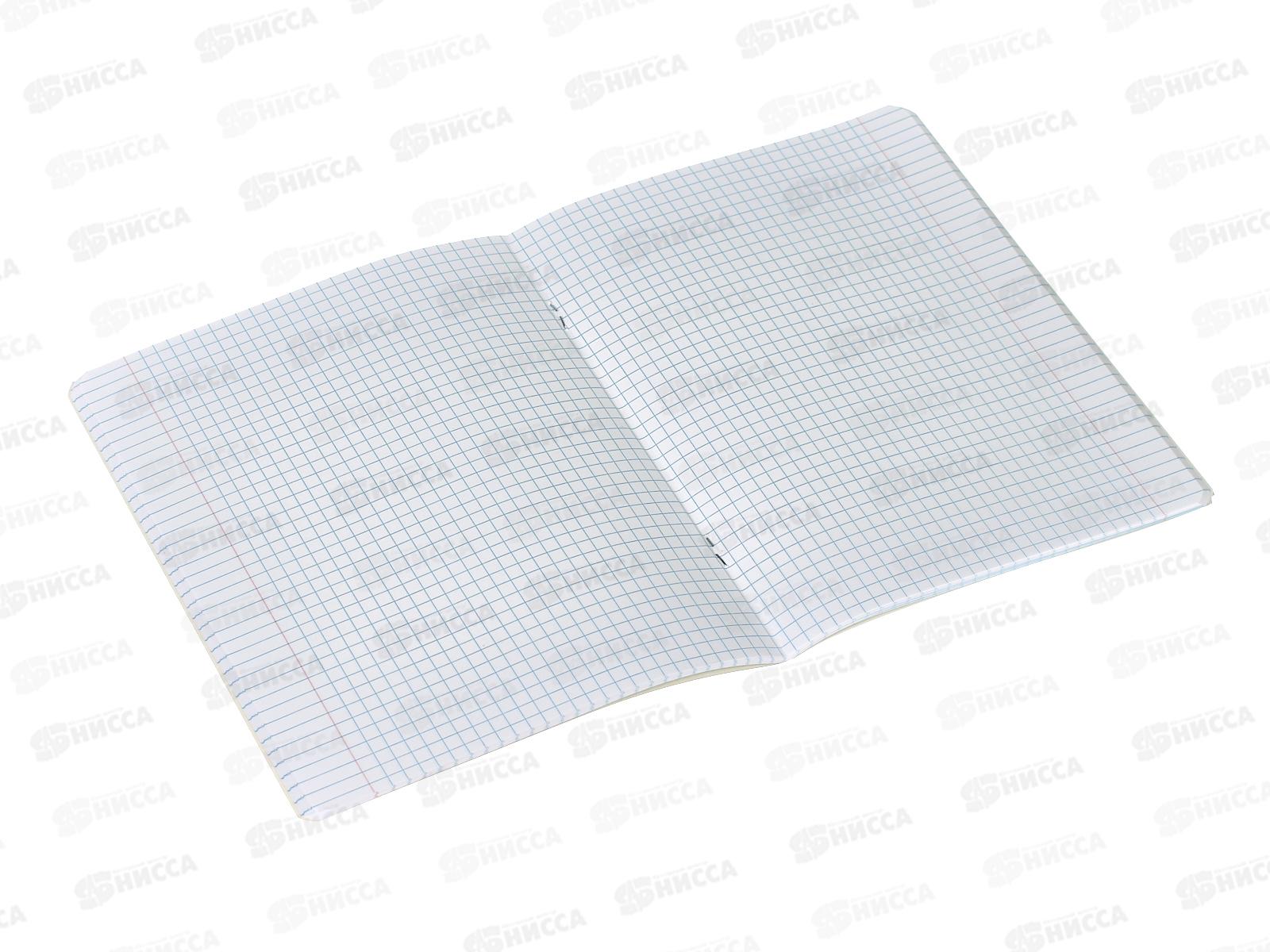 Тетрадь 48листов клетка АКАД Пламенный спорт, EAC-13081/5 *20/60