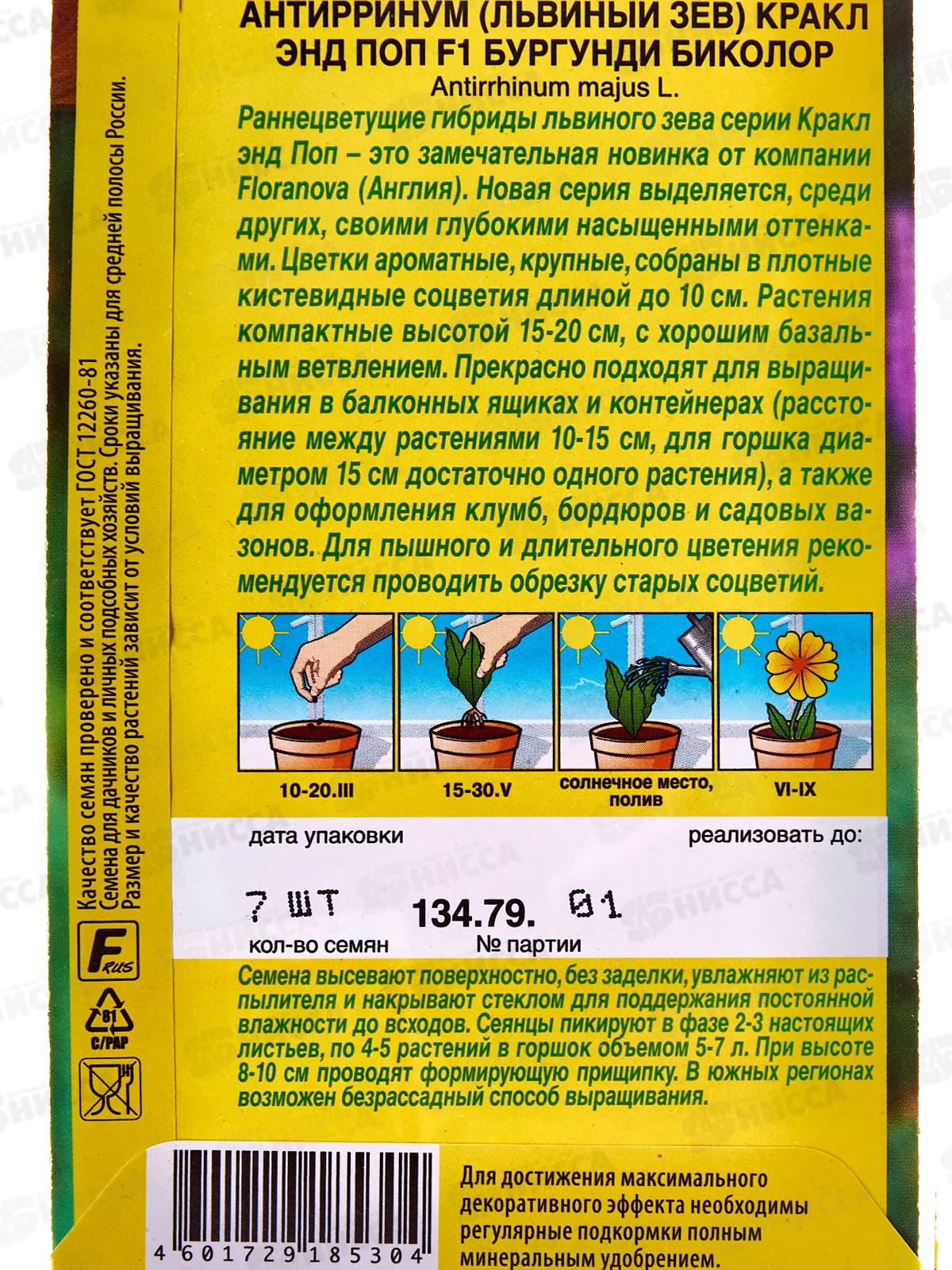 Львиный зев Кракл энд поп F1бургунди биколор *10 АЭЛИТА +