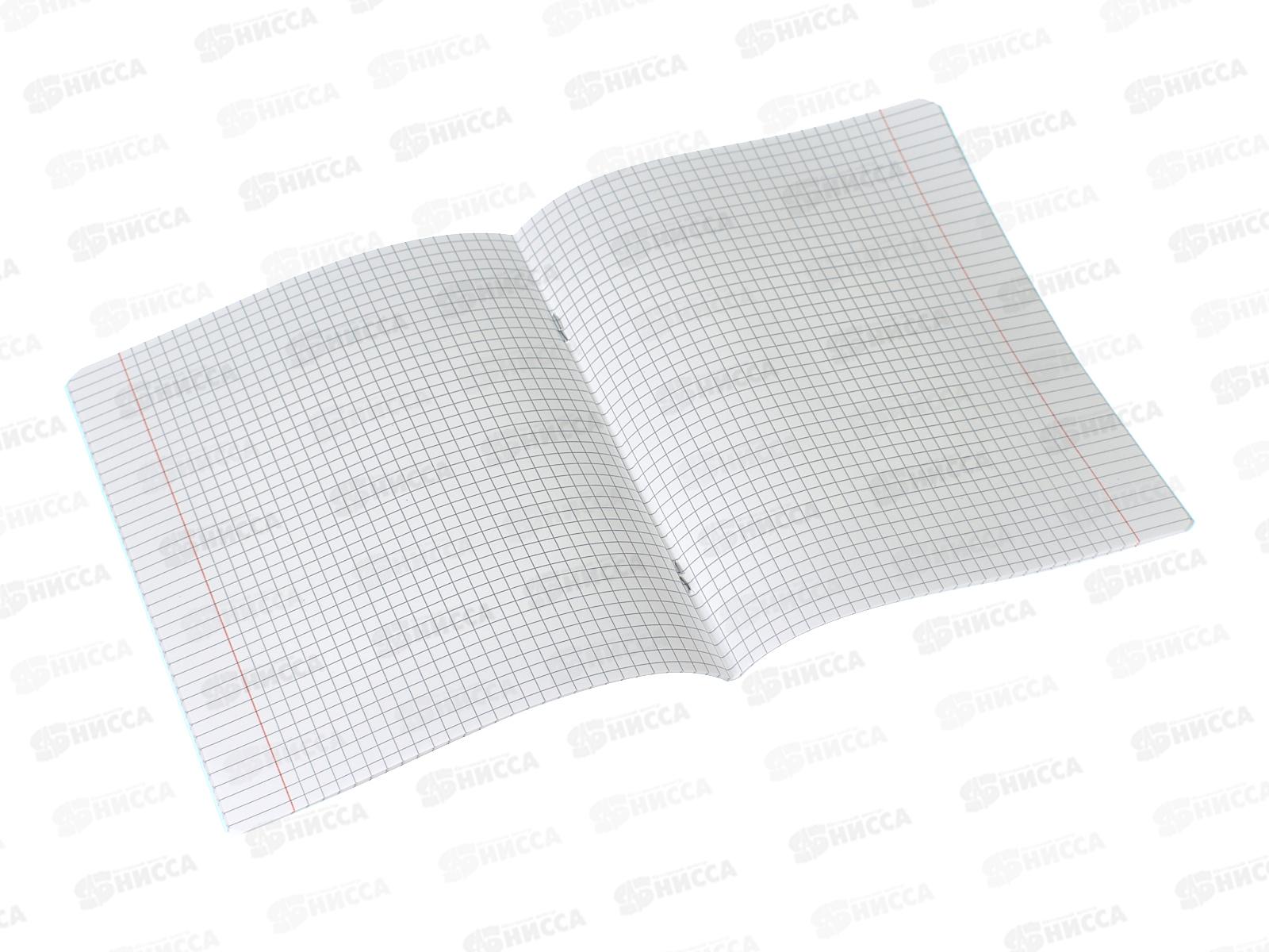 Тетрадь 18листов клетка Hatber пластиковая обложка скоба синяя, 078244 *10/120