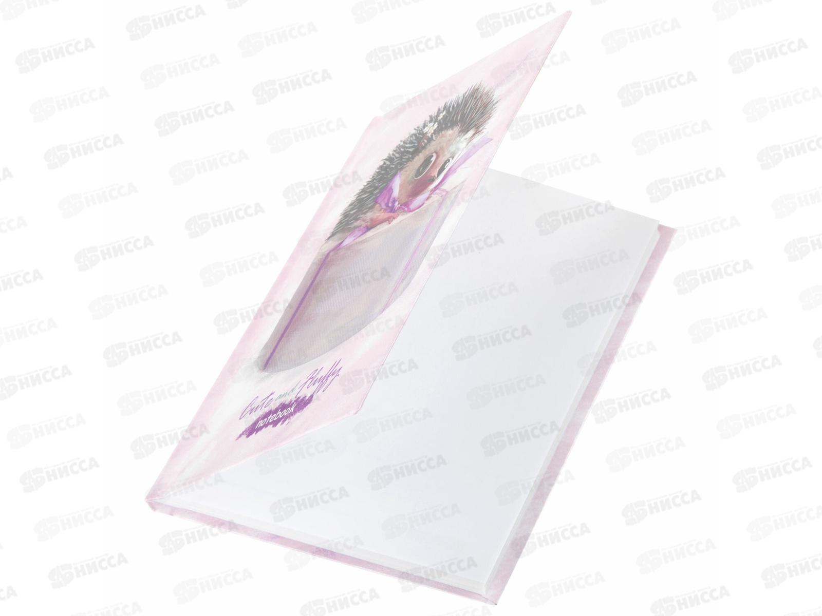 Блокнот 80л BRAU А6 тв.кл. Ёжик,114442 *20