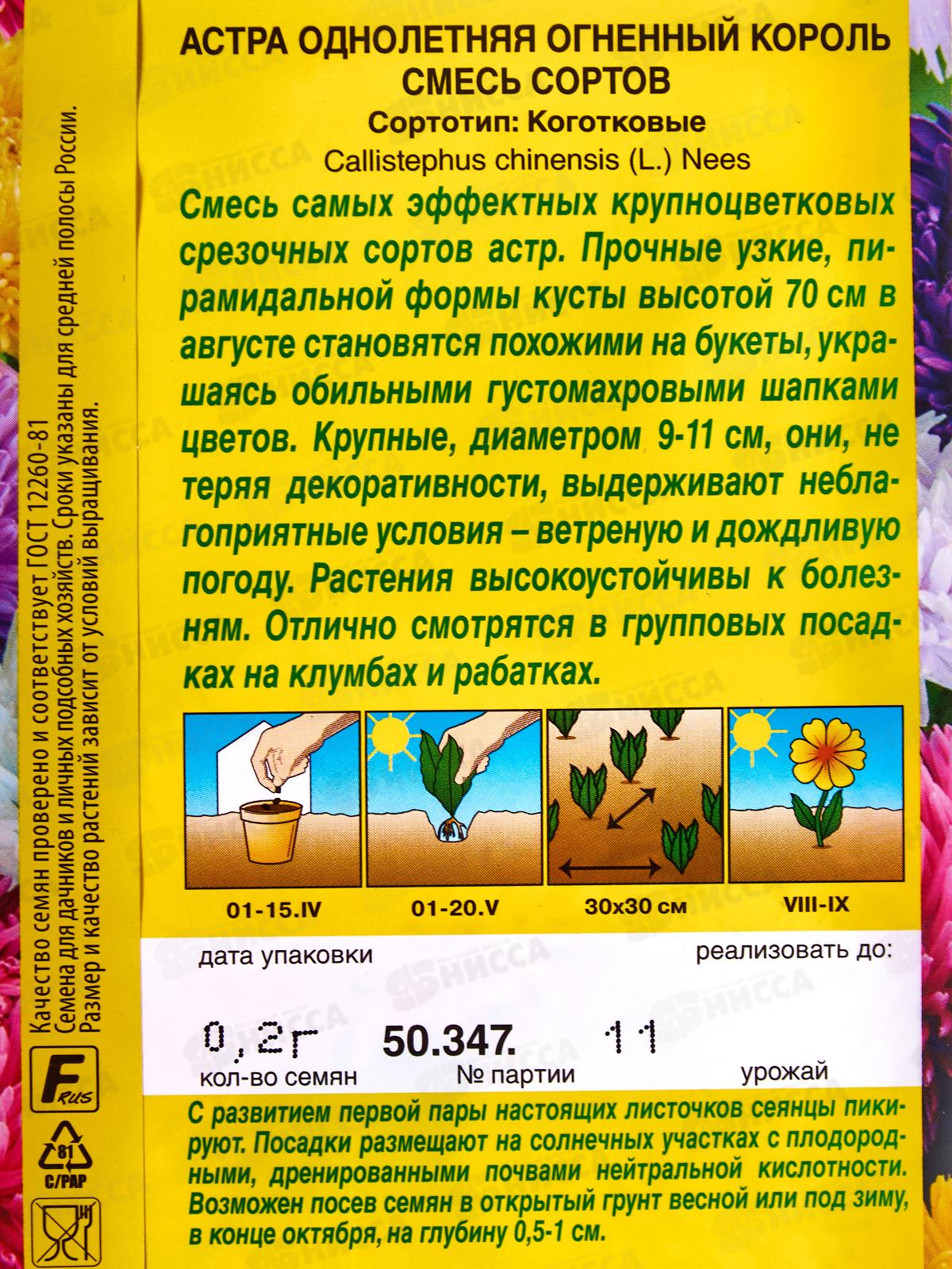 Астра Огненный король, смесь сортов *10 АЭЛИТА +