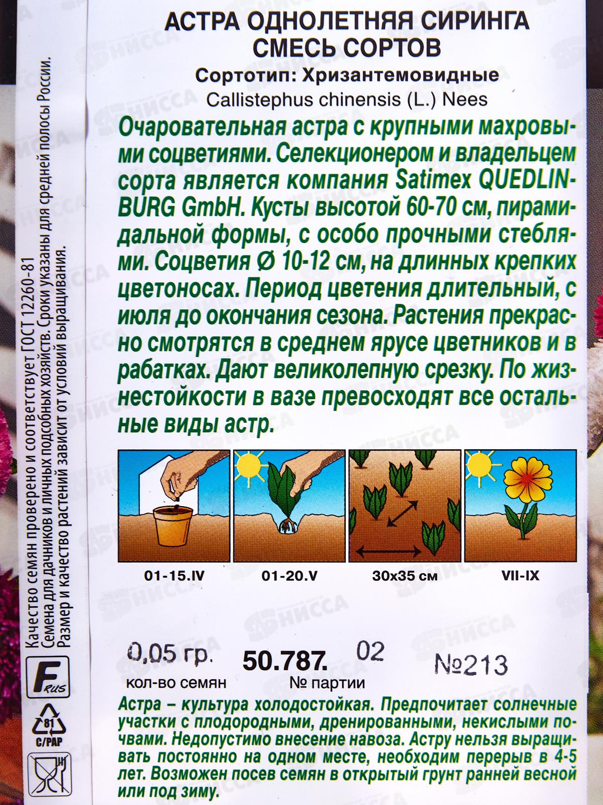 Астра Сиринга смесь сортов *10 АЭЛИТА