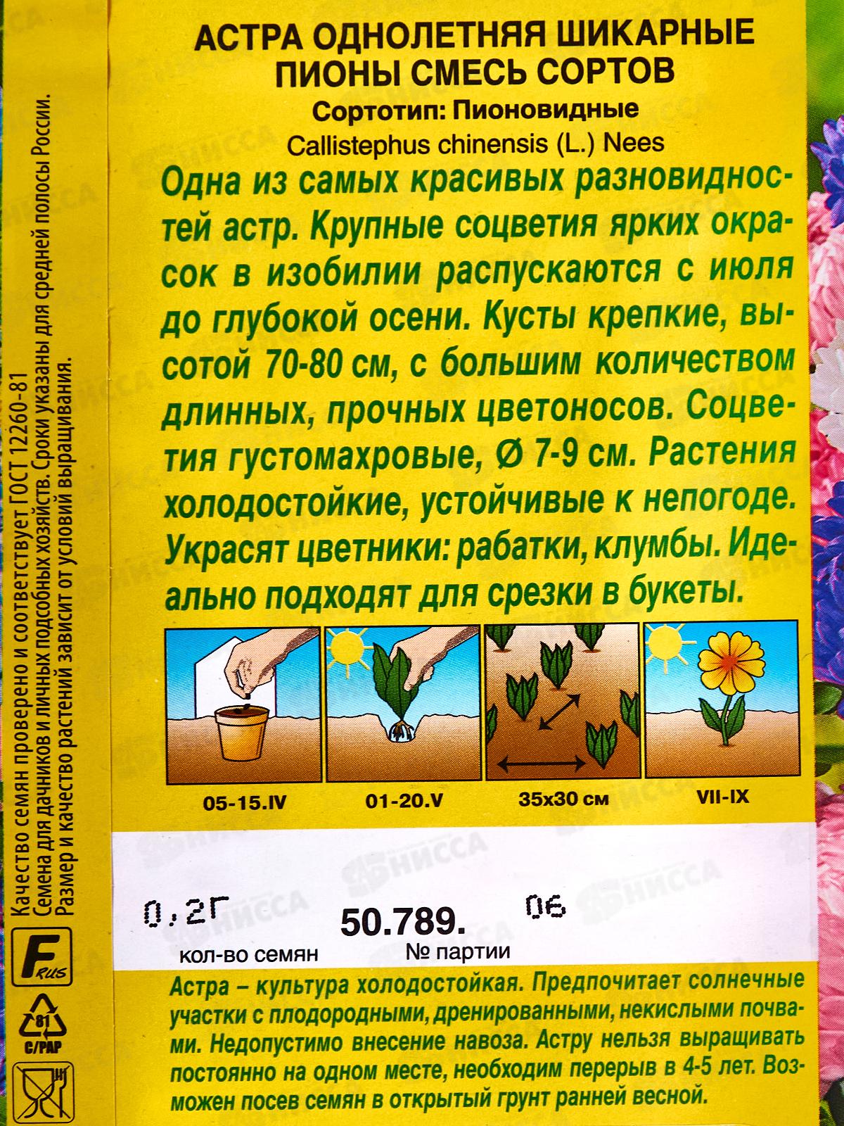 Астра Шикарные пионы,смесь сортов *10 АЭЛИТА