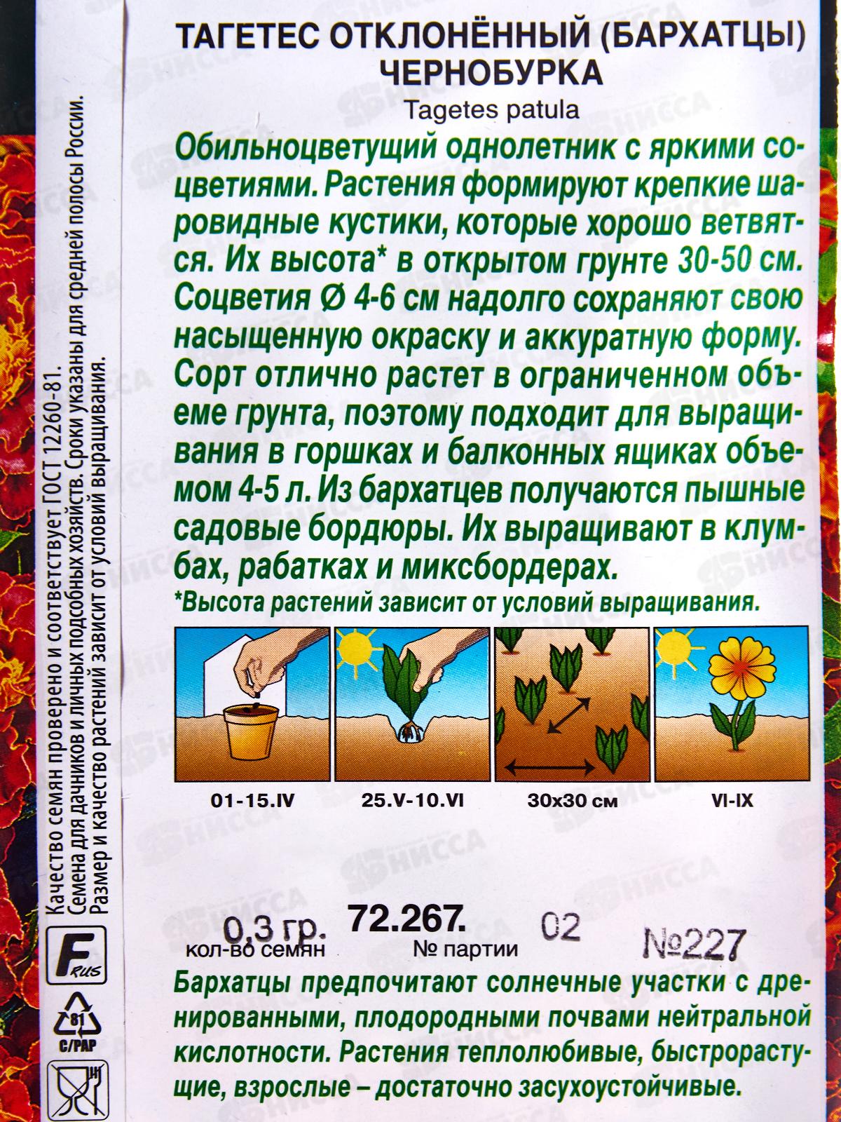 Бархатцы Чернобурка отклоненные *10 АЭЛИТА +