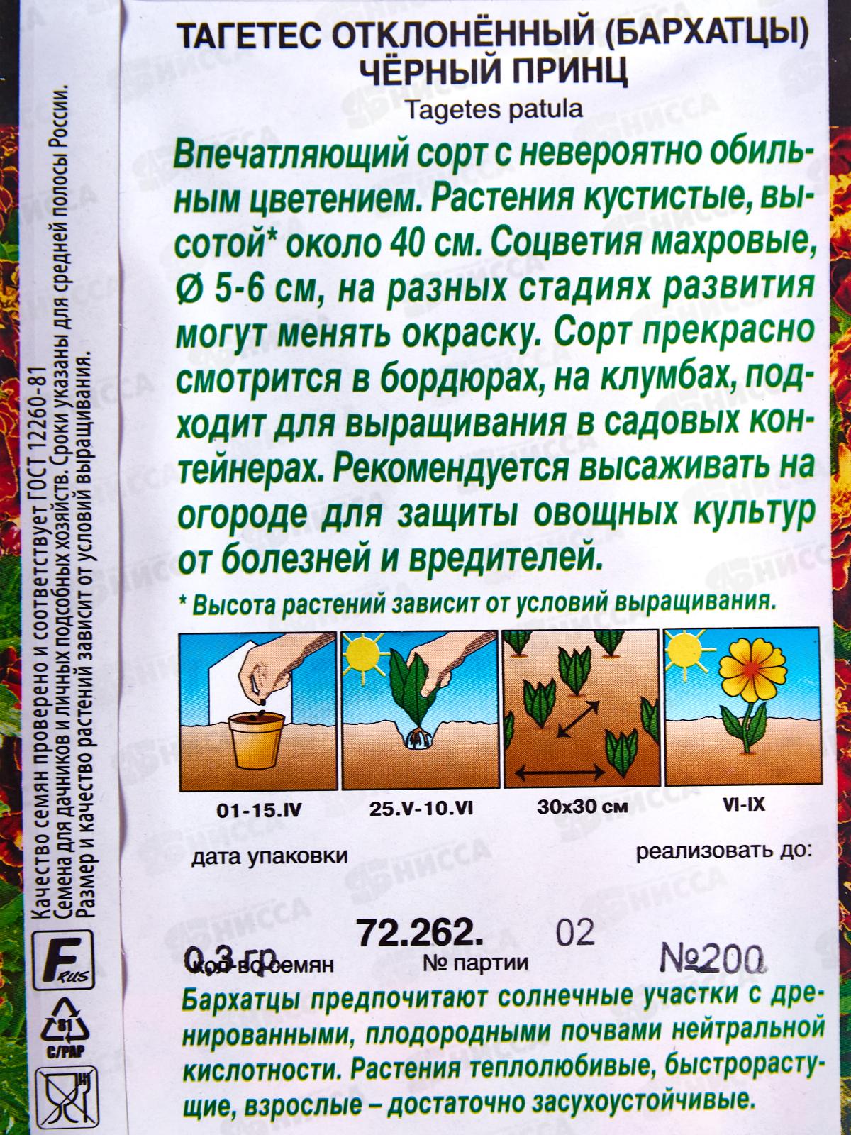 Бархатцы Черный принц отклоненные *10 АЭЛИТА +