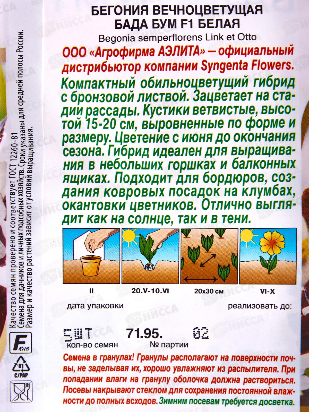 Бегония Бада бум F1 Белая *10 АЭЛИТА +