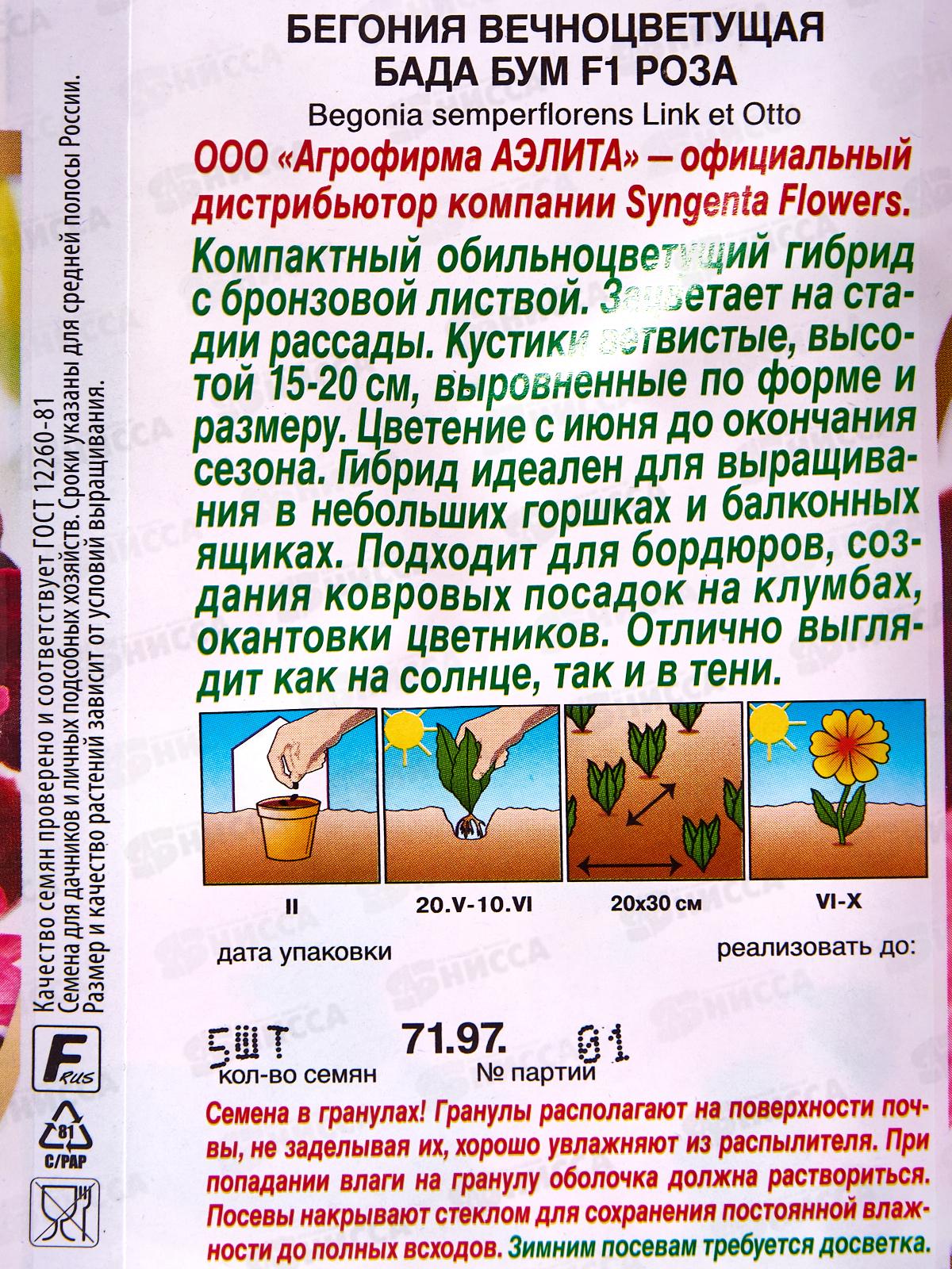 Бегония Бада бум F1 роза *10 АЭЛИТА