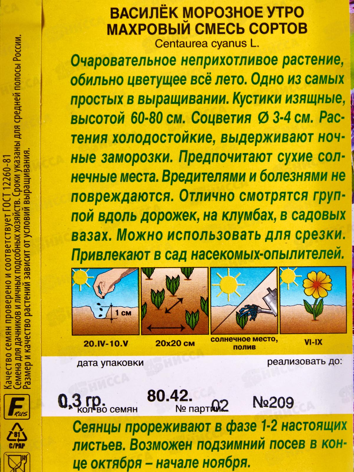 Василек Морозное утро,смесь сортов *10 АЭЛИТА