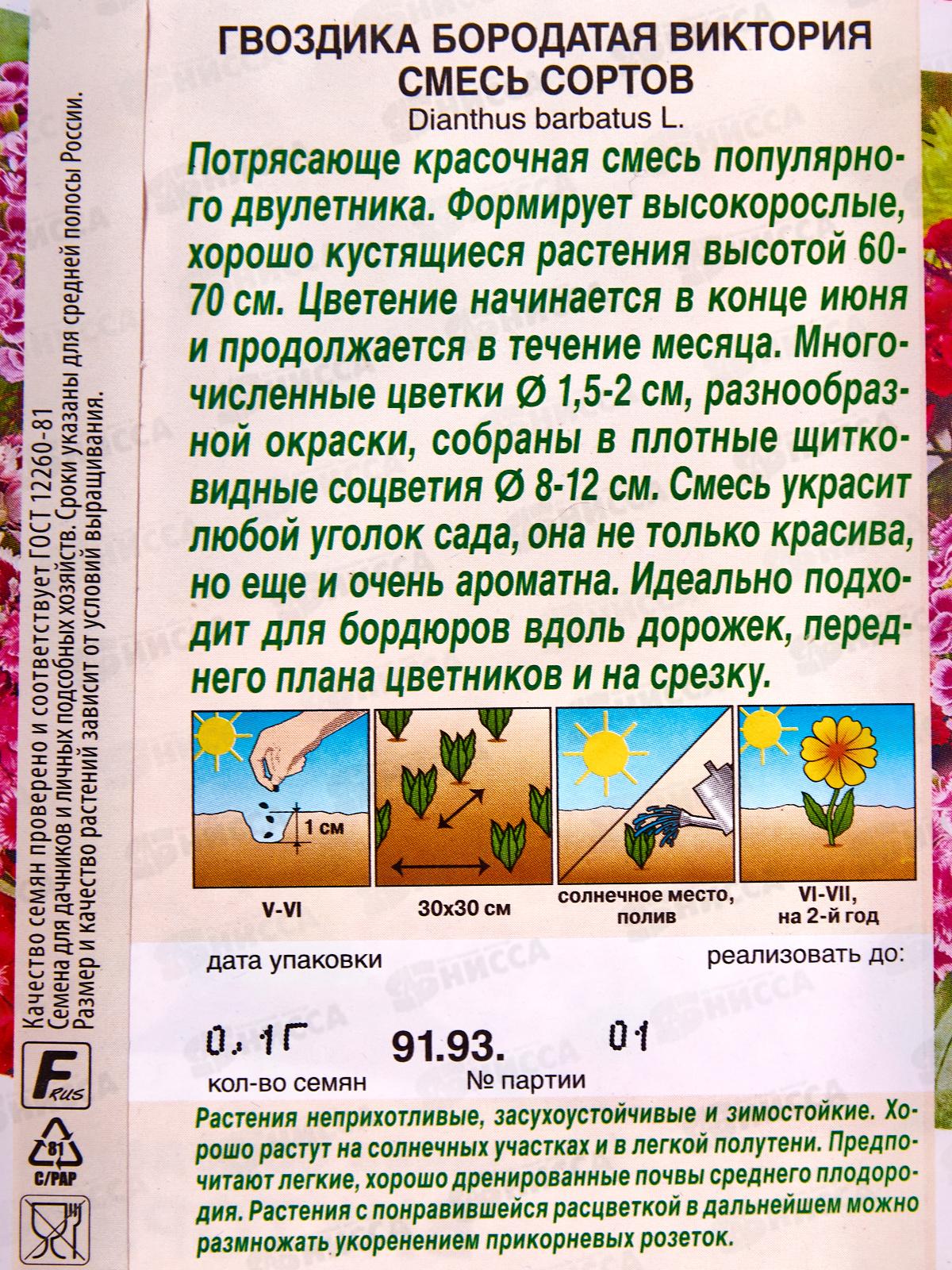 Гвоздика Виктория смесь сортов *10 АЭЛИТА +