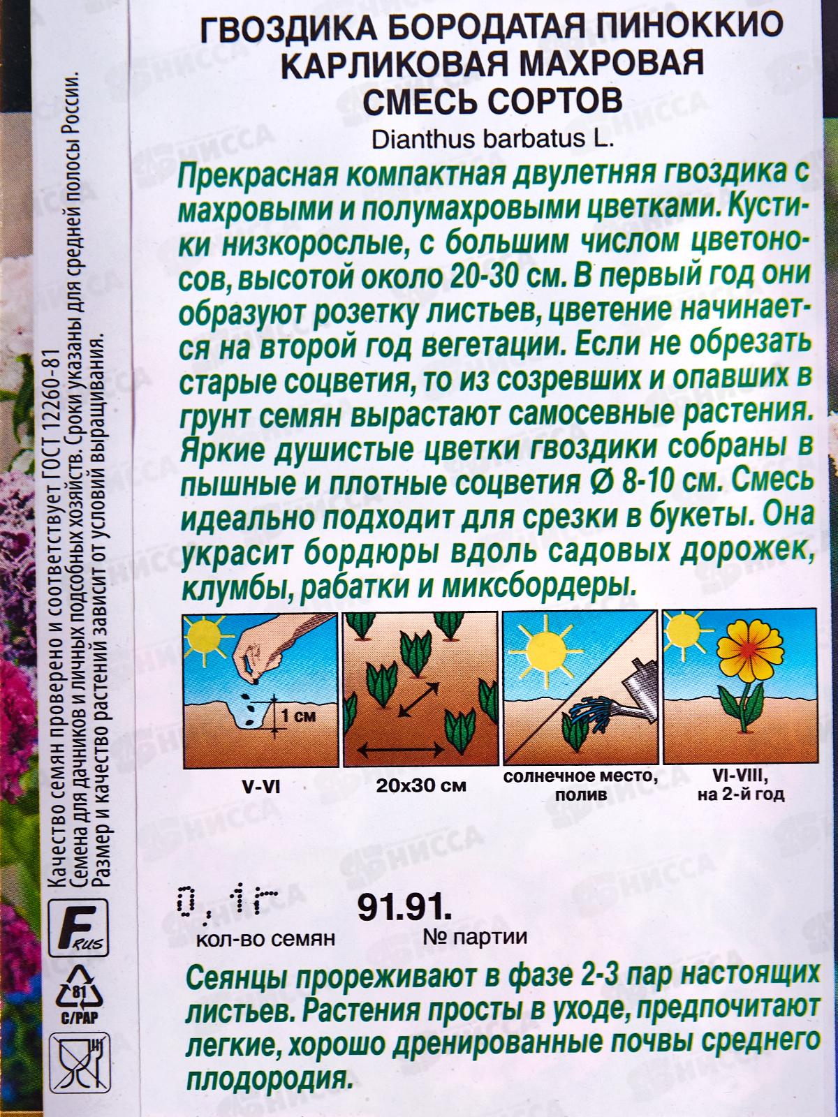 Гвоздика Пиноккио карликовая махровая смесь сортов *10 АЭЛИТА
