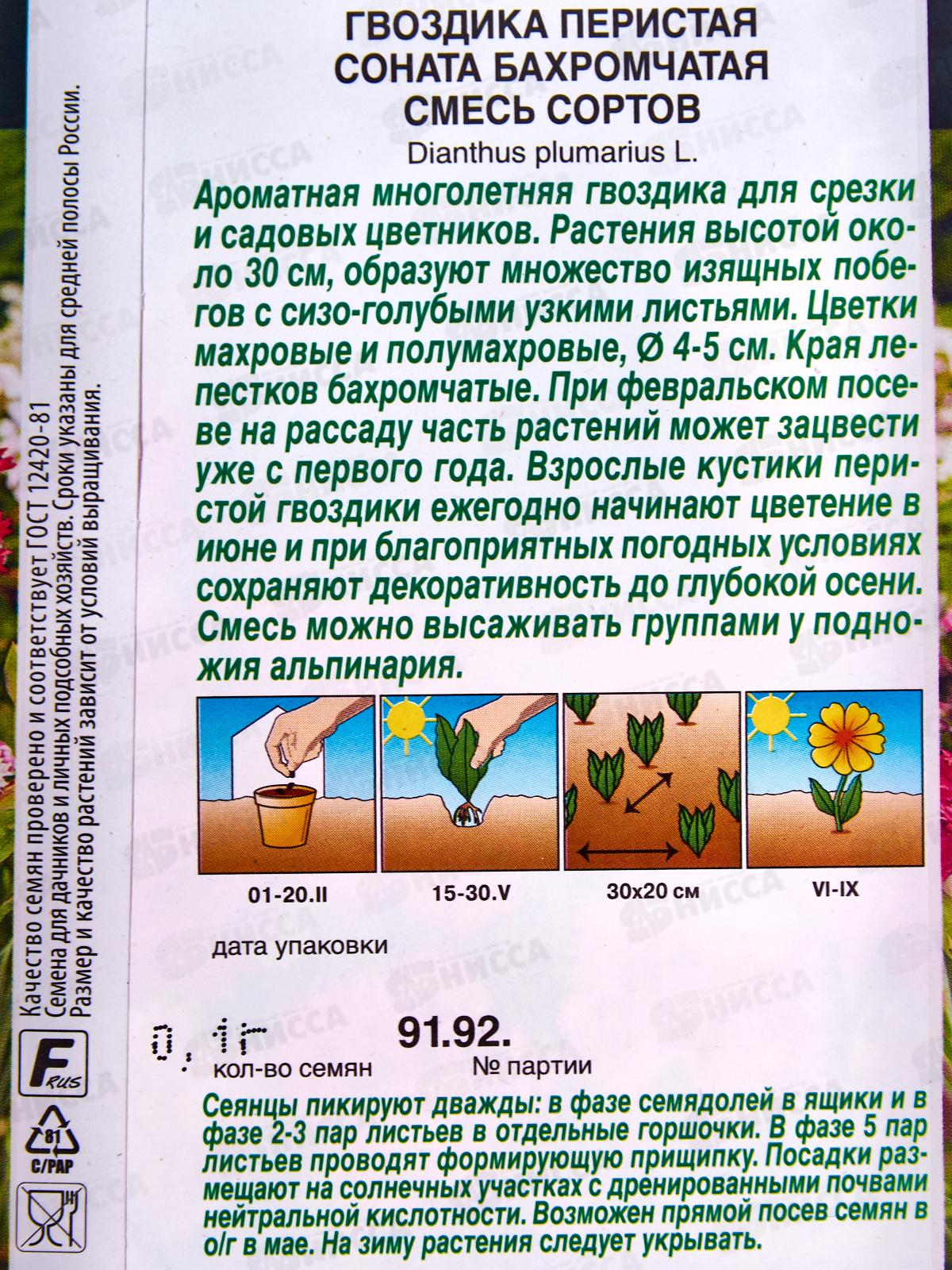 Гвоздика Соната бахромчатая смесь сортов *10 АЭЛИТА