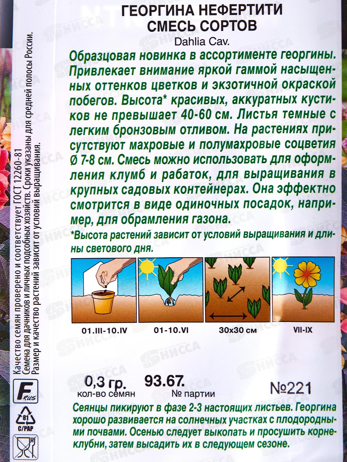 Георгина Нефертити,смесь сортов *10 АЭЛИТА