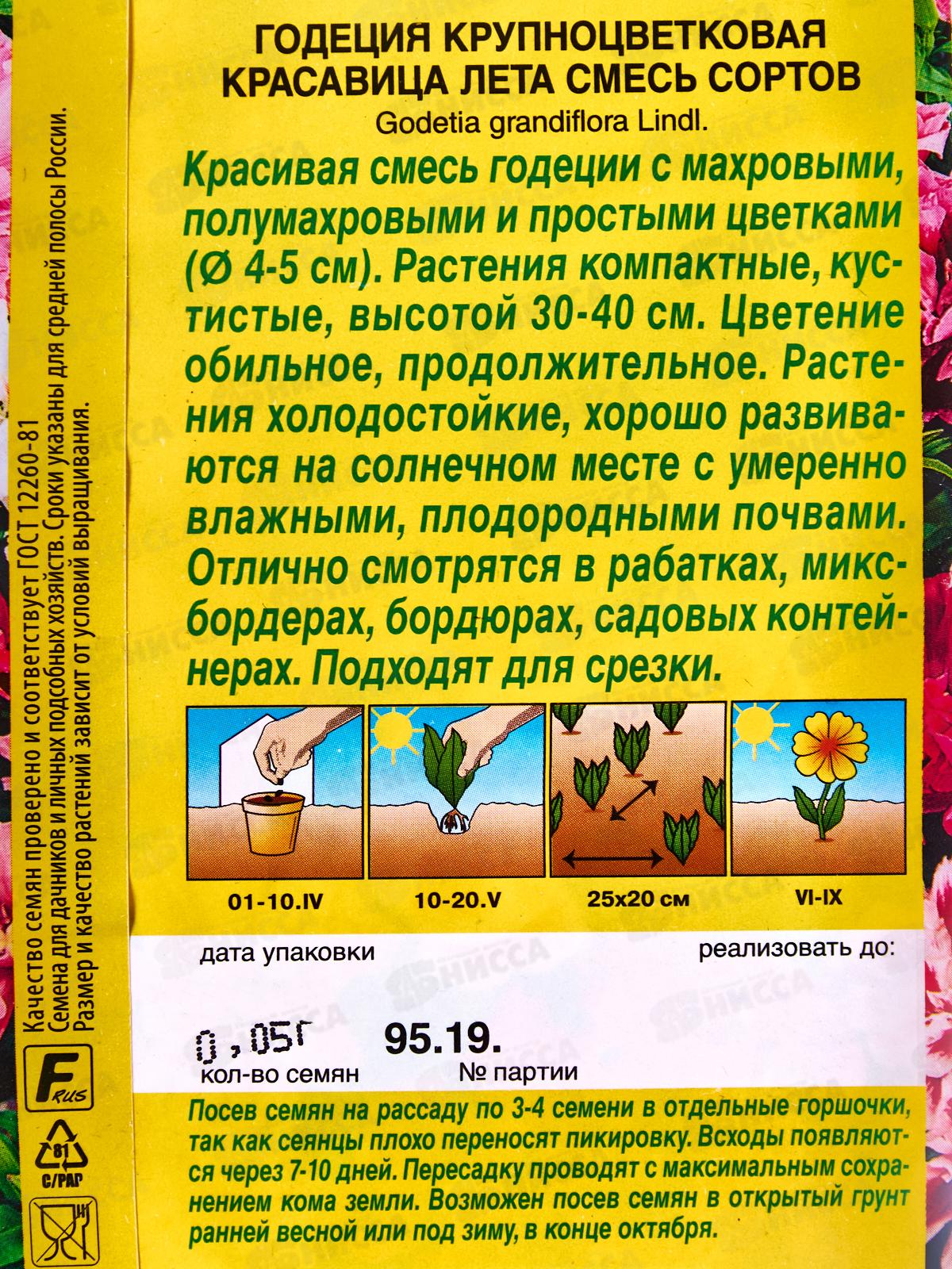 Годеция Красавица лета крупноцветковая смесь сортов *10 АЭЛИТА