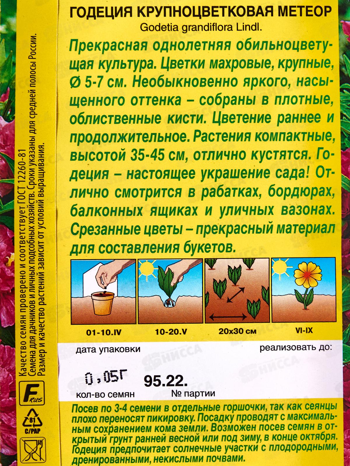 Годеция Метеор крупноцветковая *10 АЭЛИТА
