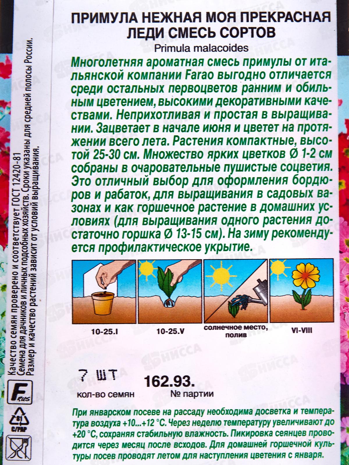 Примула Моя прекрасная леди, смесь окрасок *10 АЭЛИТА +